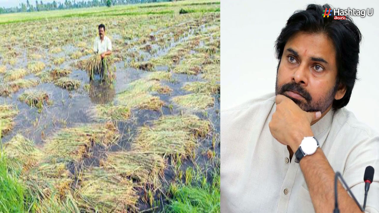 Pawan Kalyan: నేను విన్నాను.. నేను చూశాను, పంట నష్టంపై పవన్ ఆవేదన!