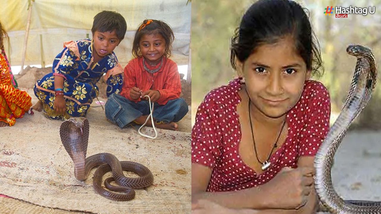 Snake Village Shetpal : ప్రతి ఇంట్లో పాముల పుట్ట ఉండే ఊరు