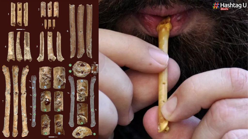 12000 Year Old Flutes