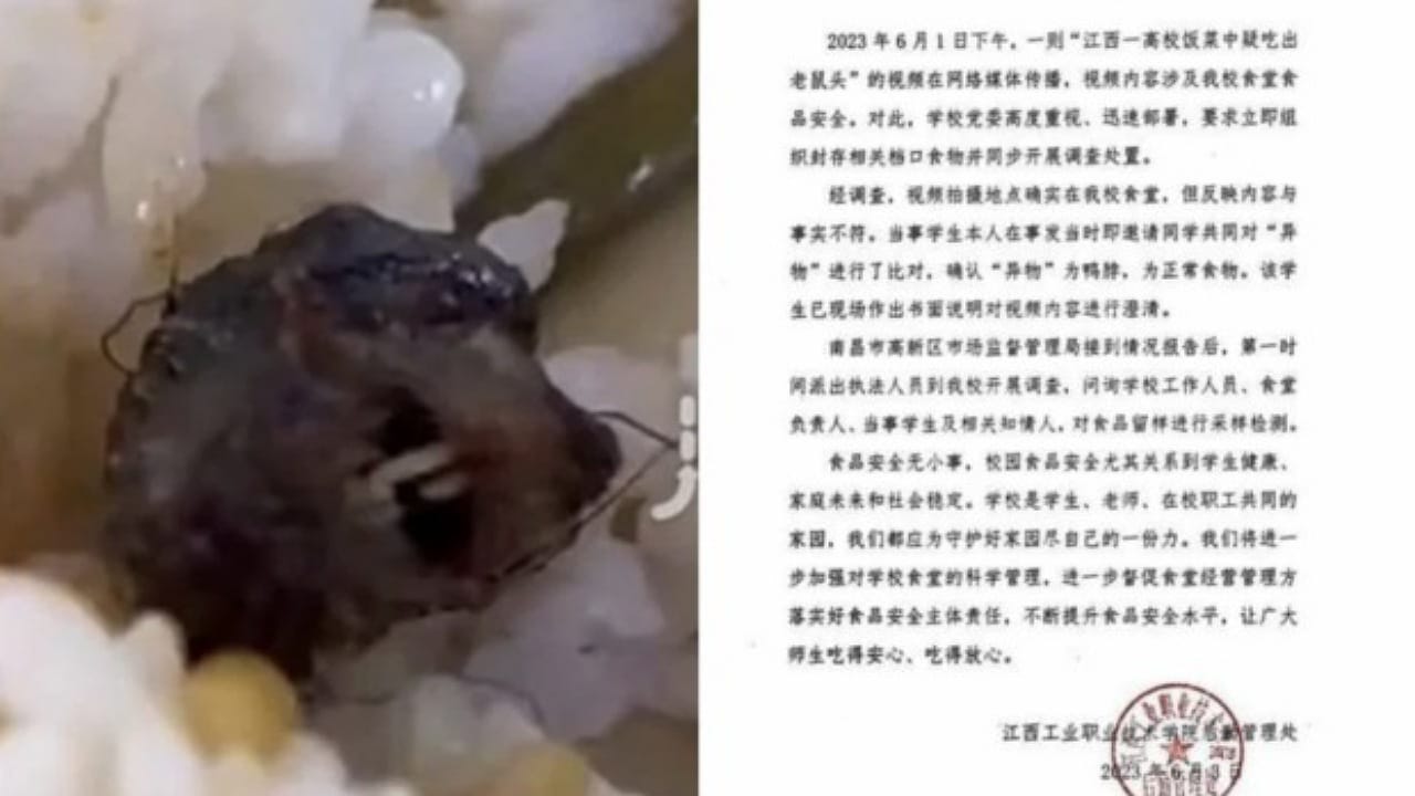 China: చైనా హాస్పిటల్ క్యాంటీన్ లో కలకలం.. లంచ్ బాక్స్ లో ఎలుక తల?