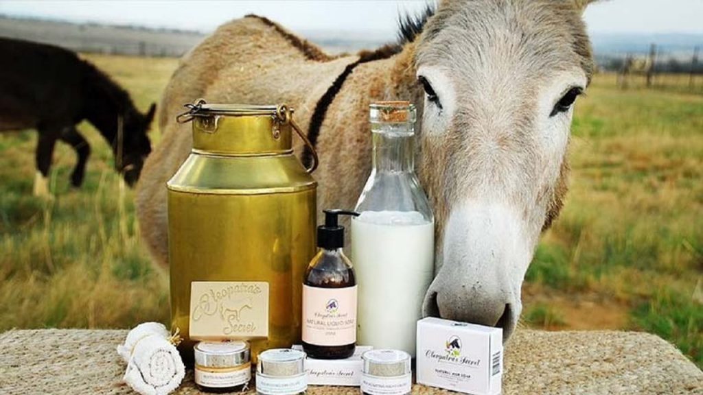Donkey Milk Benefits
