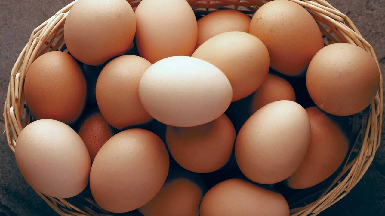Egg Alternatives : గుడ్డుకు ఆల్టర్నేటివ్ ఈ ఫుడ్స్