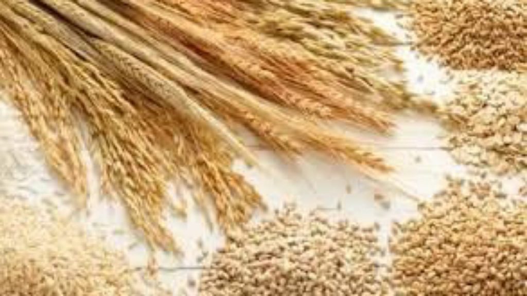 Food Grain Prices