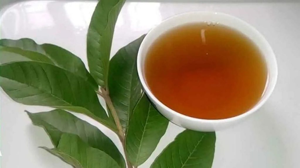 Guava Leaves Tea