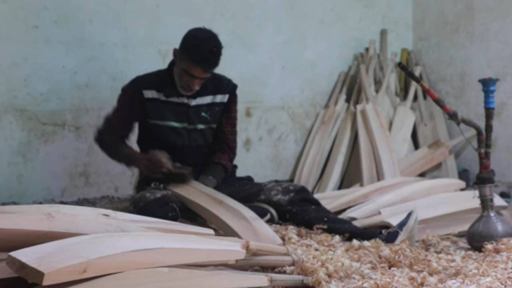 Kashmir Willow Bats
