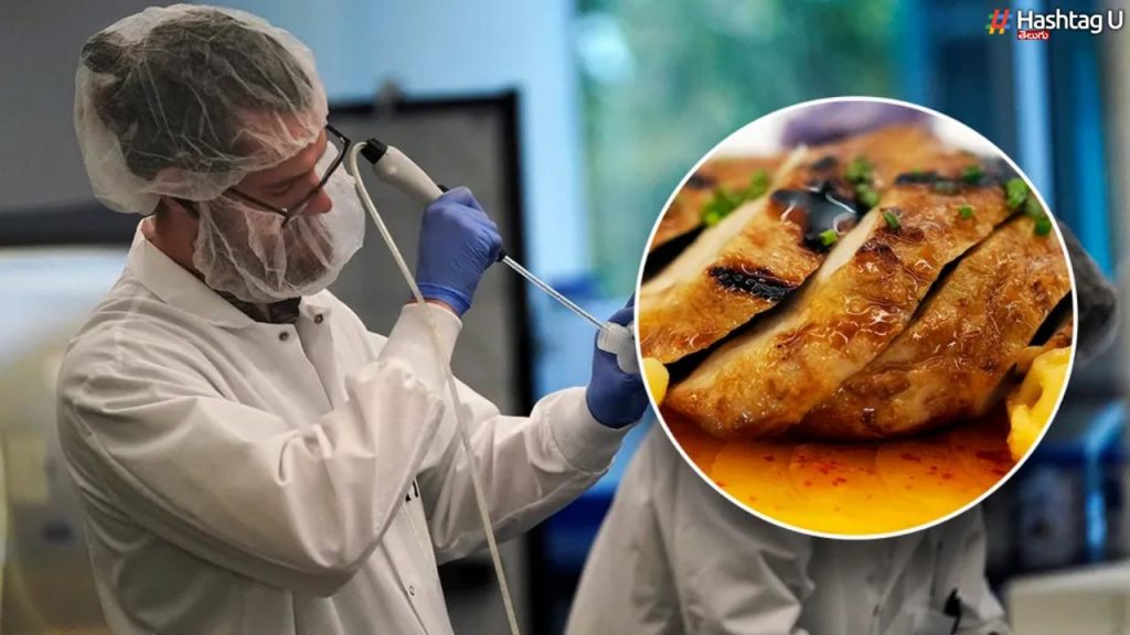 Lab Grown Meat