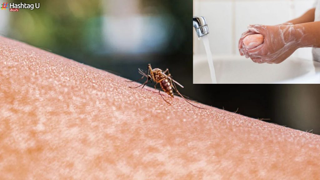 Mosquito Vs Your Soap