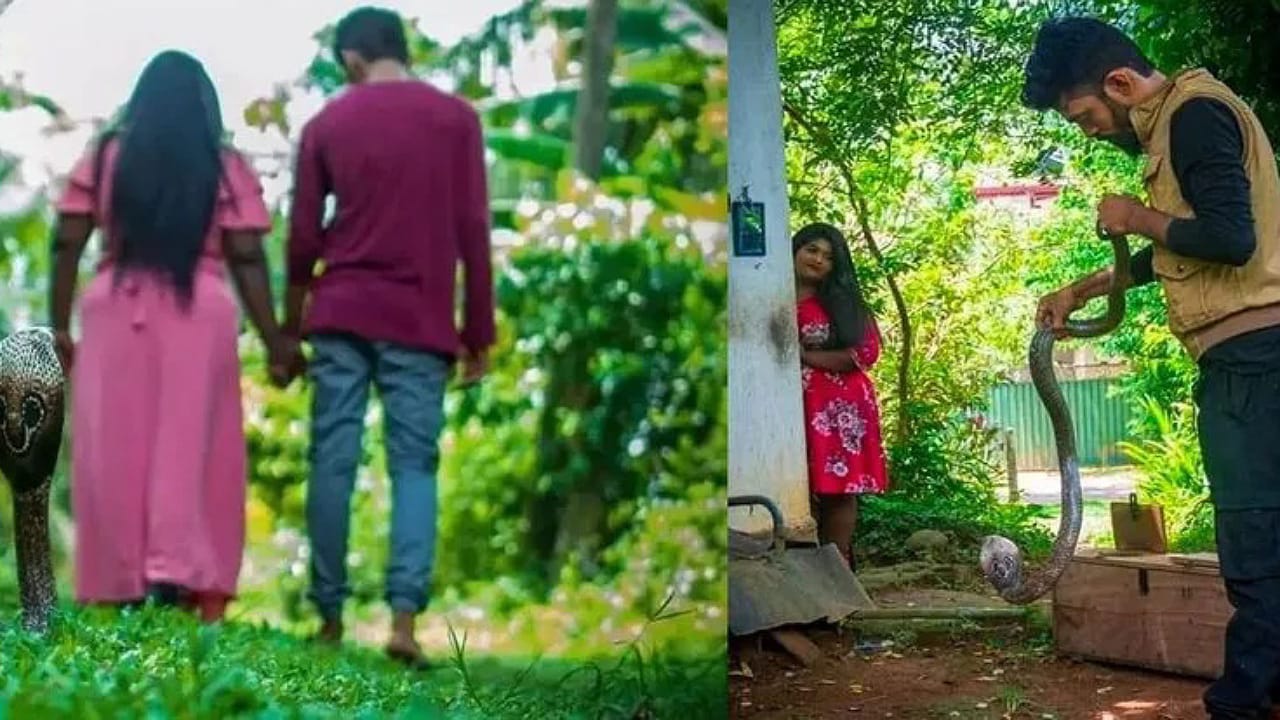 Pre Wedding: శ్రుతి మించిన పైత్యం.. ఏకంగా పాములతో ఫ్రీవెడ్డింగ్ ఫోటో షూట్?