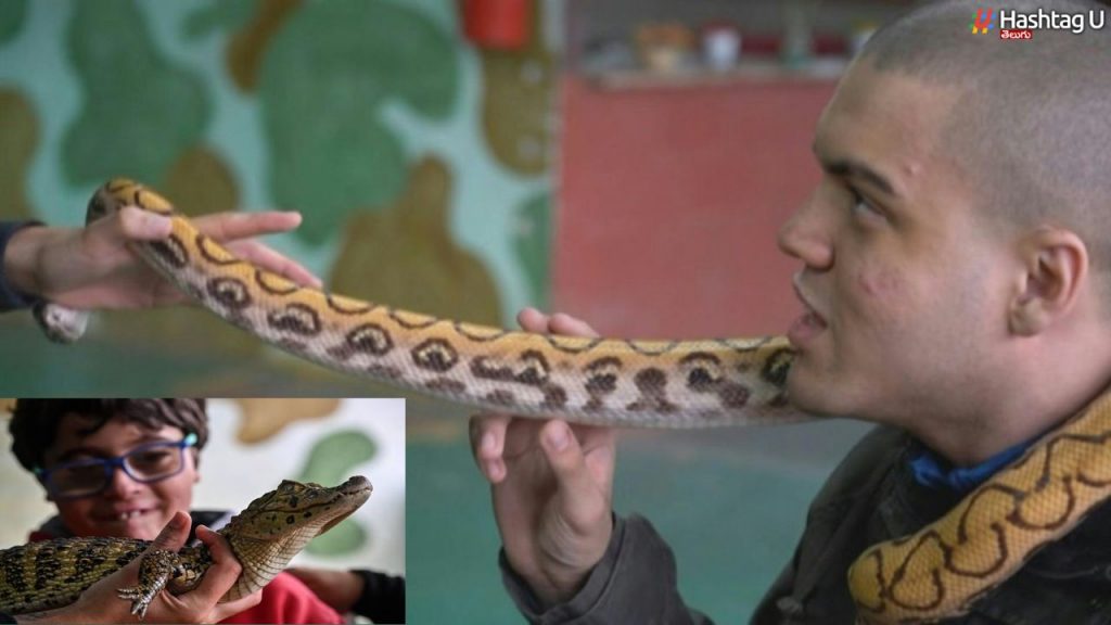 Snakes Therapy