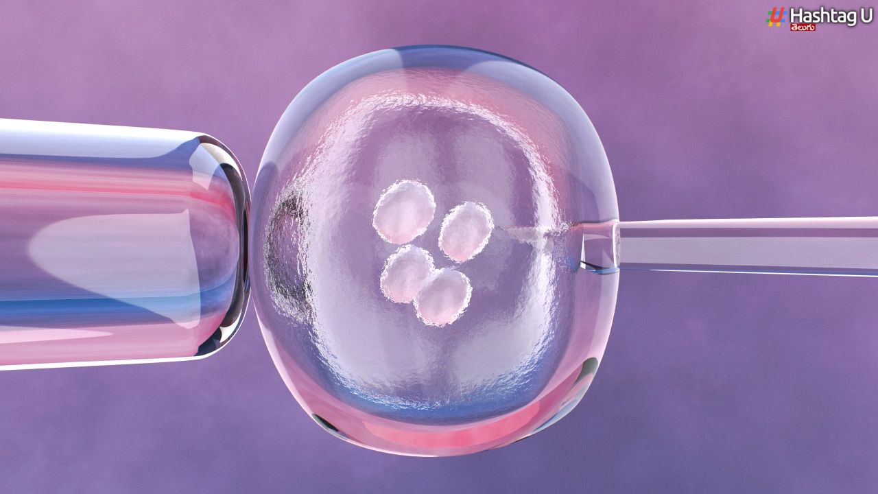 Synthetic Human Embryo : అండం..వీర్యం..రెండూ లేకుండానే కృత్రిమ పిండం