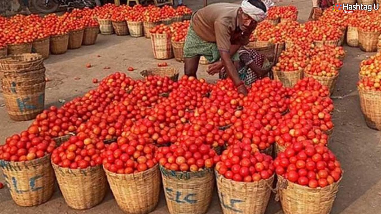 Tomato-Rs100 : సెంచరీ దిశగా టమాటా.. సామాన్యులకు దడ