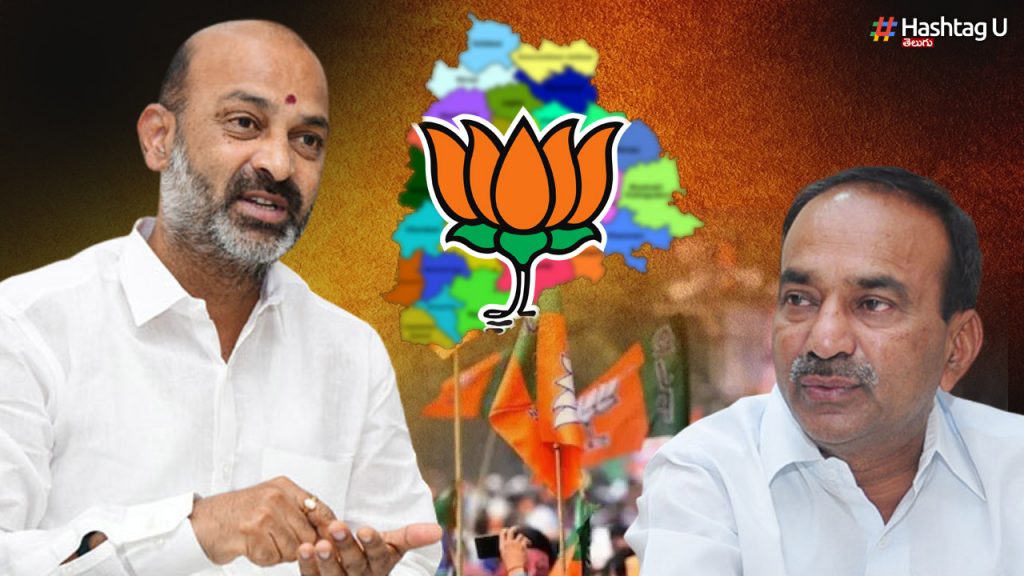 BJP in trouble
