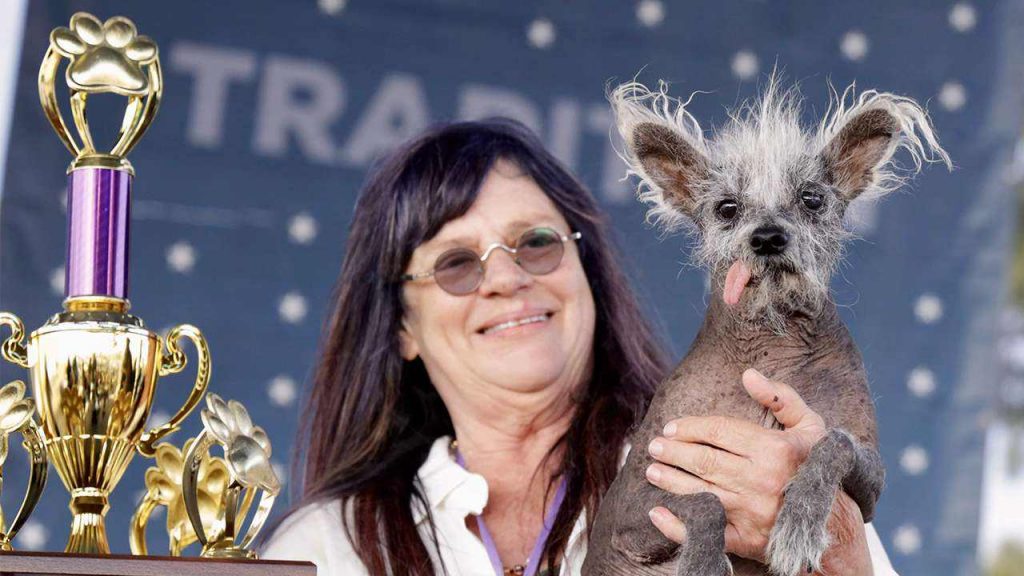 do you know 2023 World Ugliest Dog and winning prize money