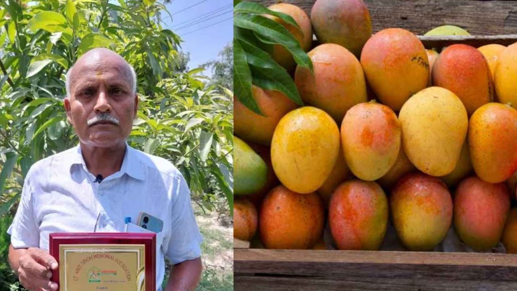 Sugar Free Mangoes available in india especially for sugar patients