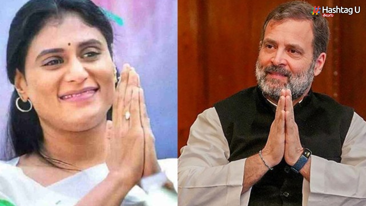 YS Sharmila: రాహుల్ కు షర్మిల బర్త్ డే గ్రీటింగ్స్.. దోస్తీ కన్ఫర్మ్?