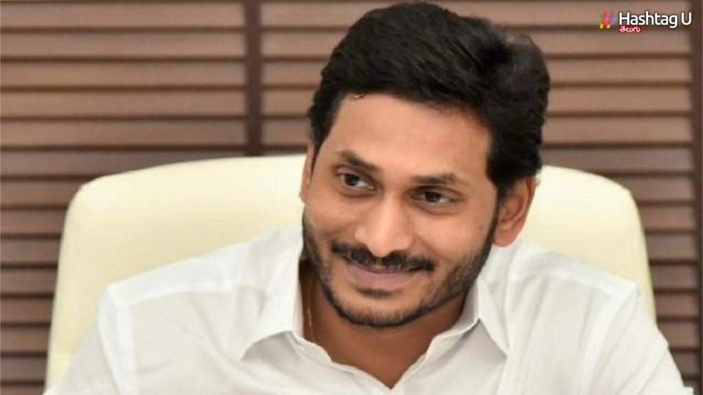 AP IPL Team