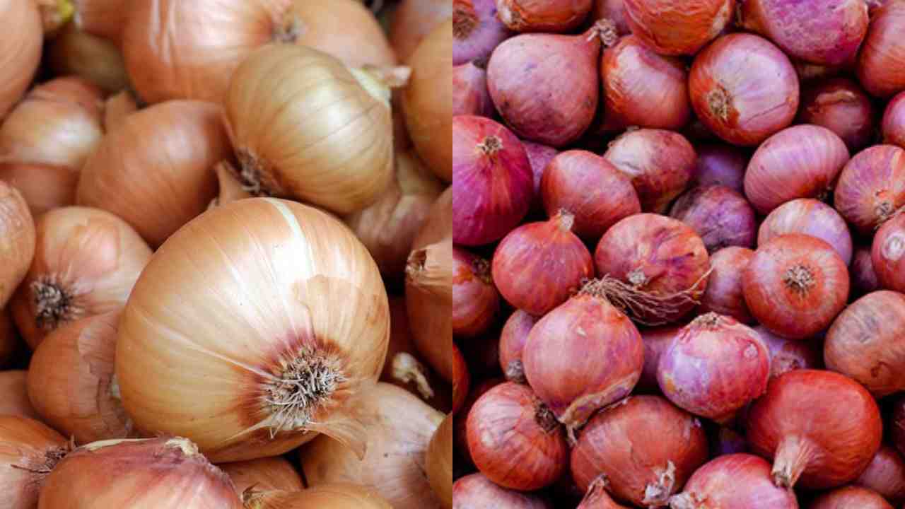 Onions Export: ఉల్లి ఎగుమ‌తుల‌పై ఆంక్ష‌లు స‌డ‌లింపు.. ఈ దేశాల‌కు ప్ర‌యోజ‌నం..!