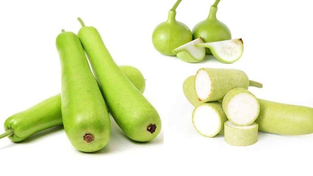 Benefits of Bottle Gourd must eat Sorakaya