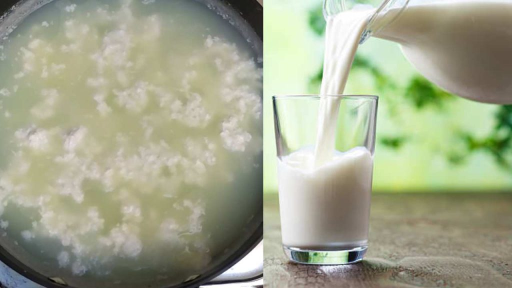 Do you know what to do to prevent milk from spoiling?