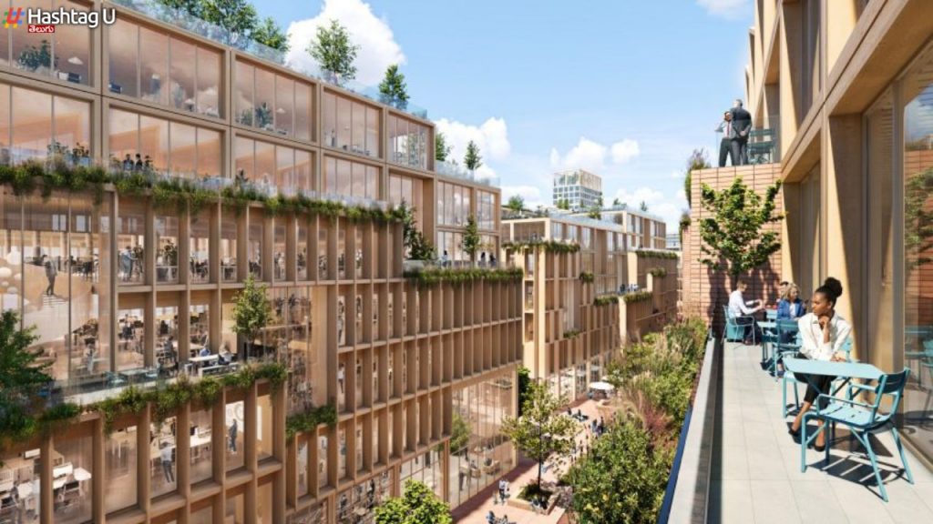 Wooden City