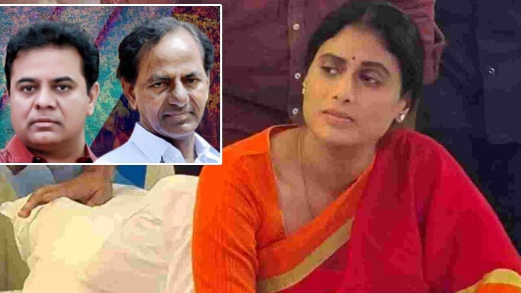 BRS KCR and KTR even not responding to YS Sharmila comments