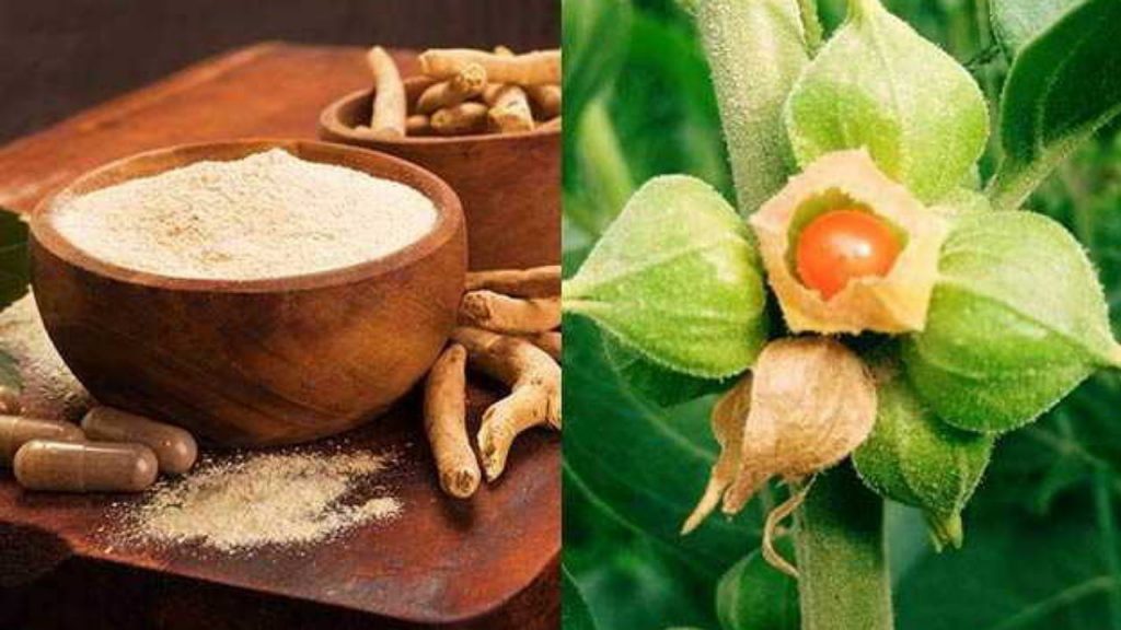 Ashwagandha Benefits