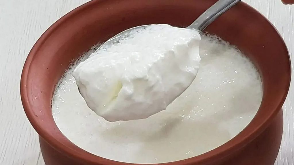 Benefits Of Curd