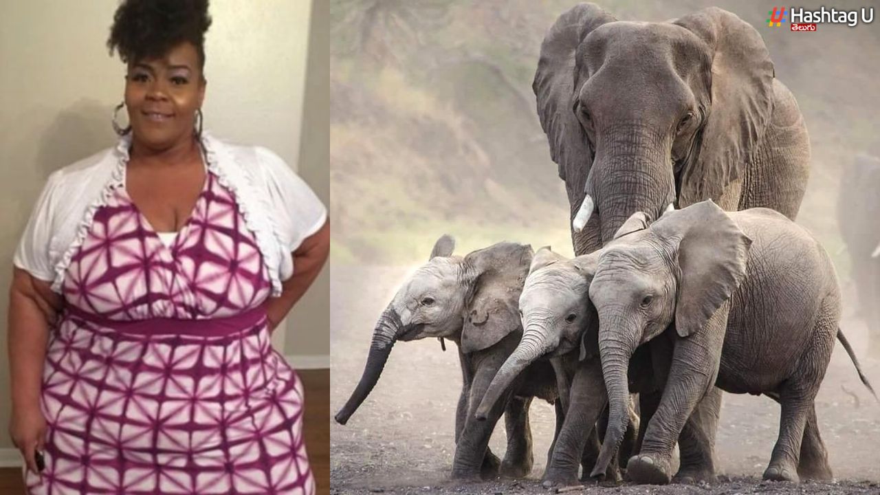 Fattest Woman-Baby Elephants : 3 ఏనుగు పిల్లలకు సమానమైన బరువు తగ్గింది.. ఎవరు.. ఎలా ?