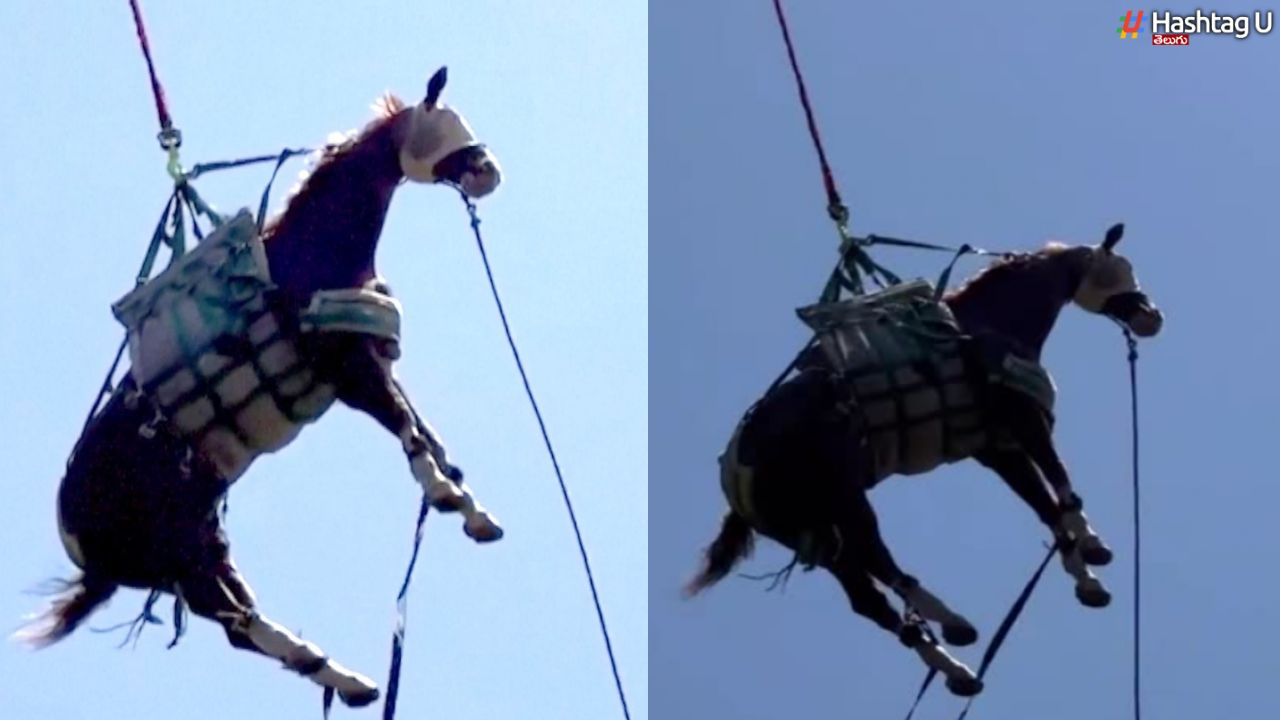 Horse Airlifted : గ్రేట్ రెస్క్యూ.. గుర్రాన్ని ఎయిర్ లిఫ్ట్ చేశారు