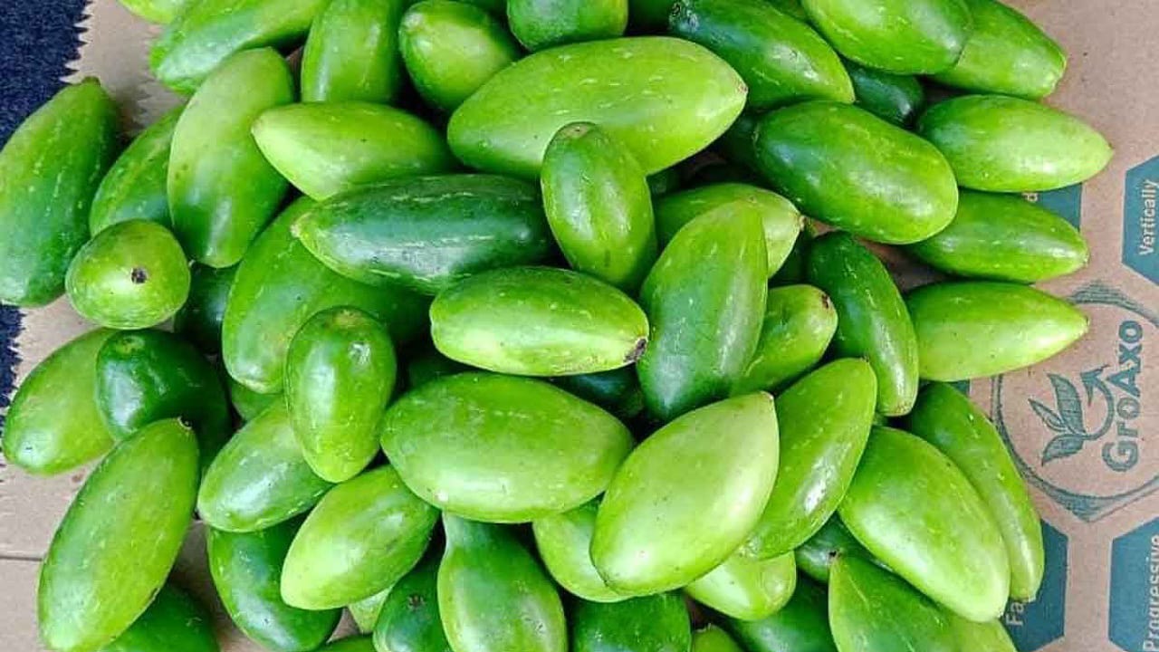 Ivy Gourd: దొండకాయతో ఇన్ని ఆరోగ్య ప్రయోజనాలా..?