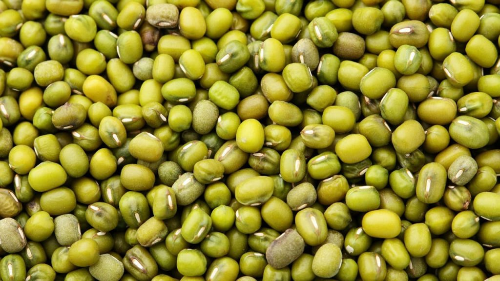 Mung Bean Benefits