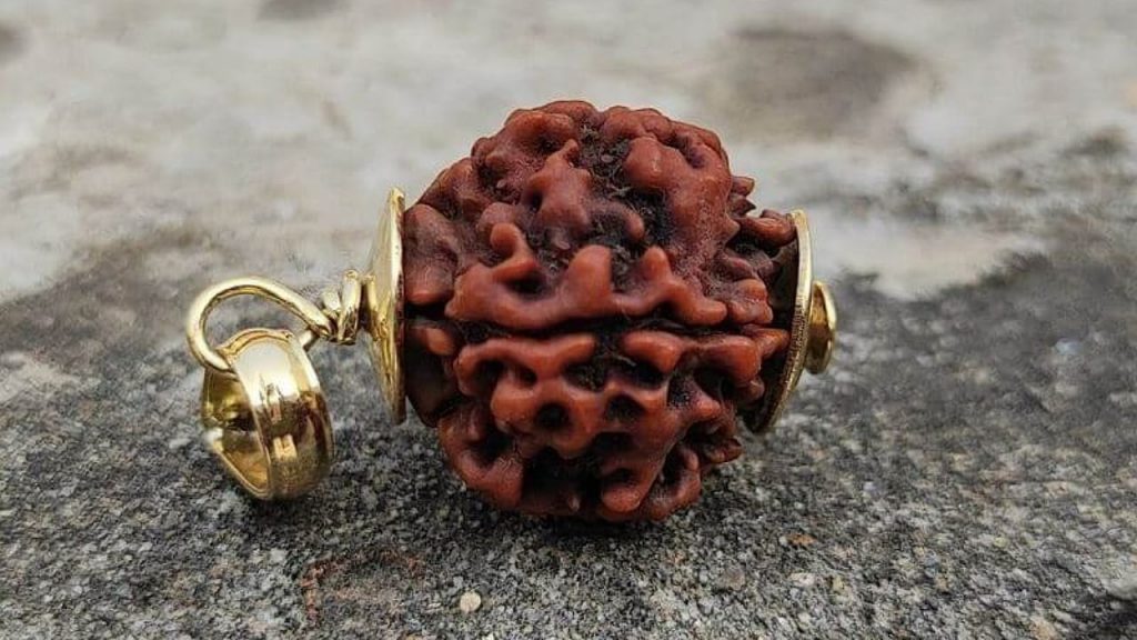 Rudraksha