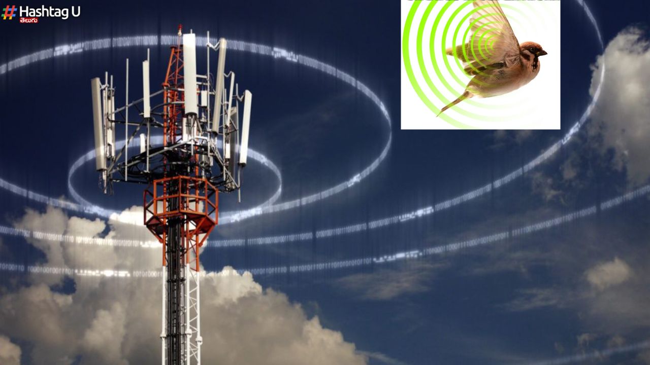 Surprise Reason Vs Mobile Towers : ఆ ఊరు సెల్ టవర్స్ కు నో చెప్పింది.. కారణం తెలిస్తే ఆశ్చర్యపోతారు