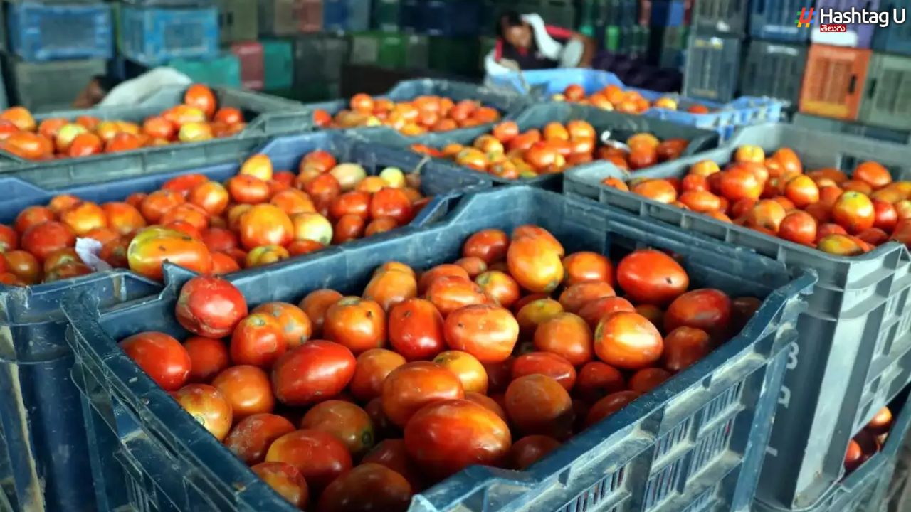 Tomatoes: ఢిల్లీలో తగ్గనున్న టమాటా ధరలు.. 60 టన్నుల టమాటాలు దిగుమతి..!?
