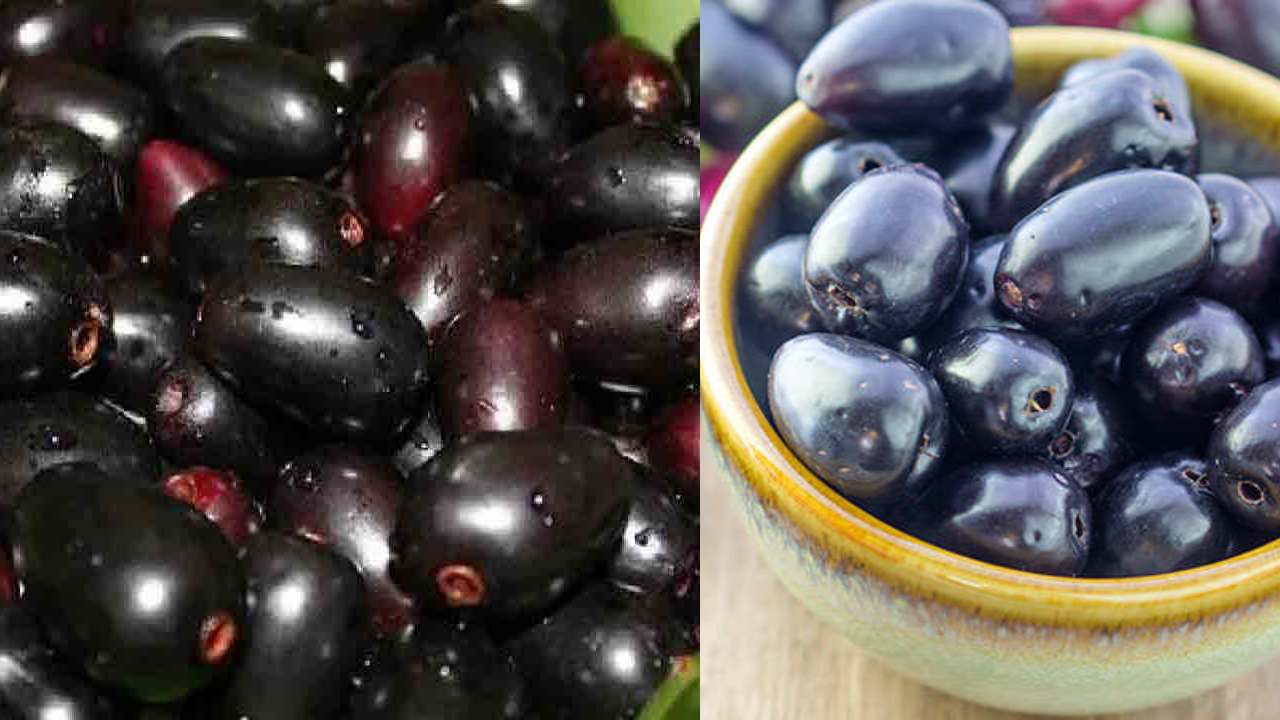 Black Jamun : అల్లనేరేడు పండ్లు తినండి.. ఎన్ని ప్రయోజనాలు తెలుసా?