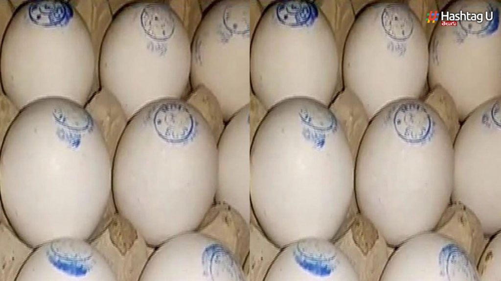 Eggs