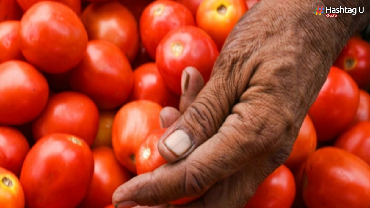 Tomato Price: తెలుగు రాష్ట్రాల నుంచి టమోటా కొనుగోలు చేయనున్న కేంద్రం