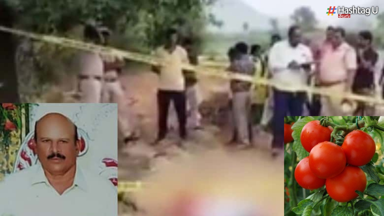 Crime News: ఏపీలో దారుణం.. టమోటా రైతును హత్య చేసిన దుండగులు
