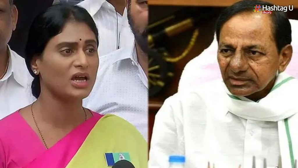 Telangana Suicides