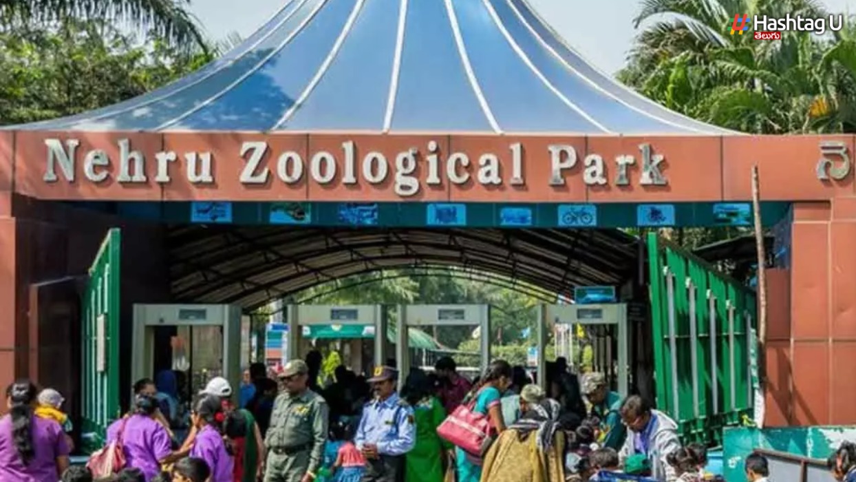 Nehru Zoo Park: నెహ్రూ జూలాజికల్ పార్క్ లో ప్రభుత్వం ఆధ్వర్యంలో వినోదాత్మక కార్యక్రమాలు
