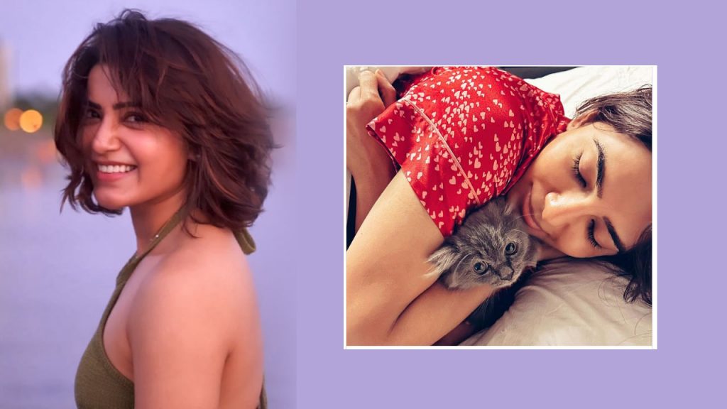 Samantha Ruth Prabhu introduces new pet Gelato
