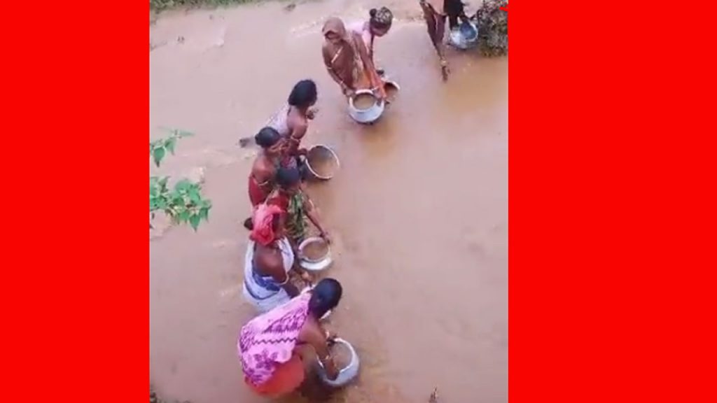 Tribals Drinking Muddy Wate