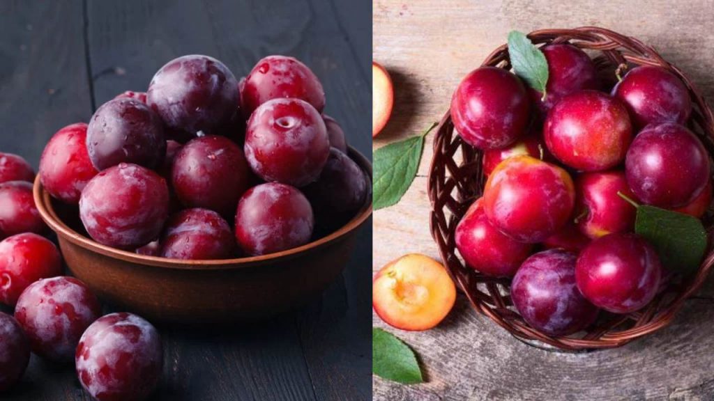 Health Benifits of AlBukhara Fruit Plum Apple