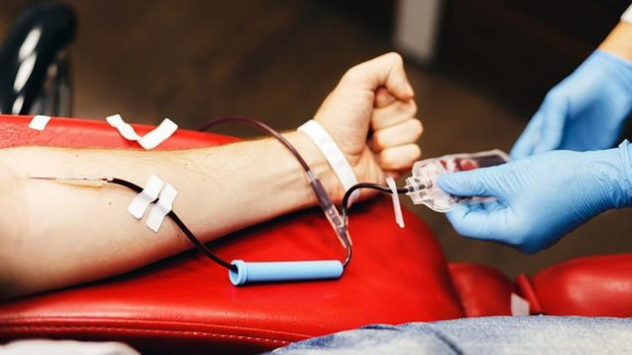 Blood Donation: రక్తదానం చేస్తున్నారా.. అయితే ఈ విషయాలు మీ కోసం?