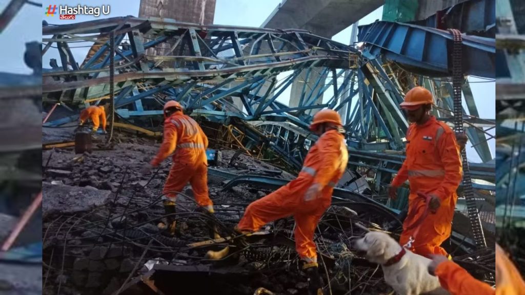 Crane Collapse 17 Died