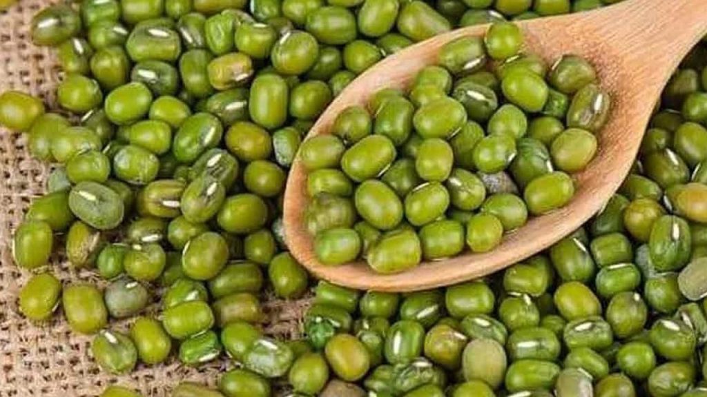 Mung Bean