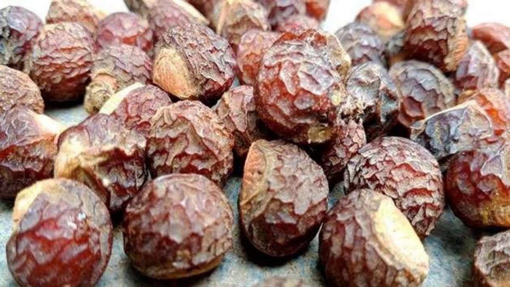 Soap Nuts