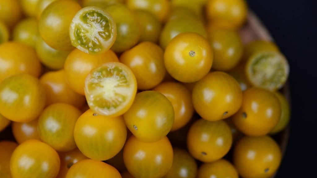 Tomato