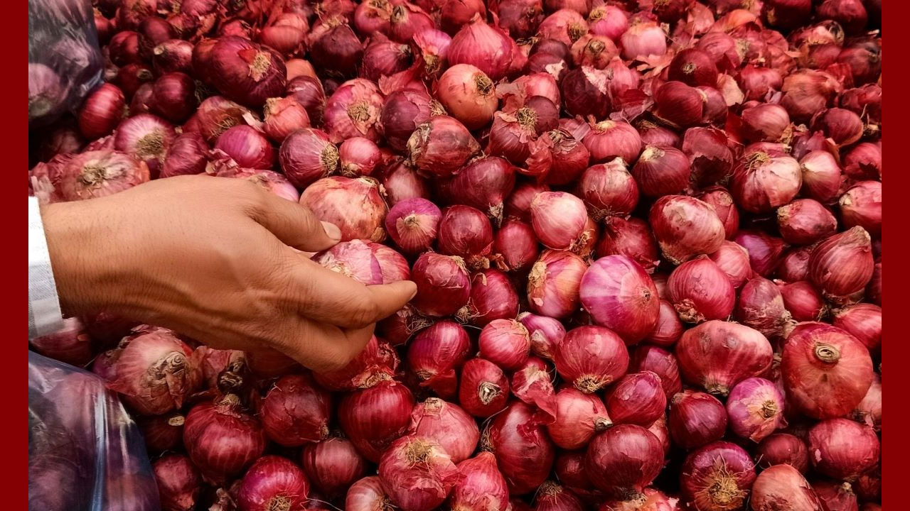 Onion : సామాన్య ప్రజలారా..ఇప్పుడే ఉల్లిపాయలను తెచ్చుకోండి..ఎందుకంటే