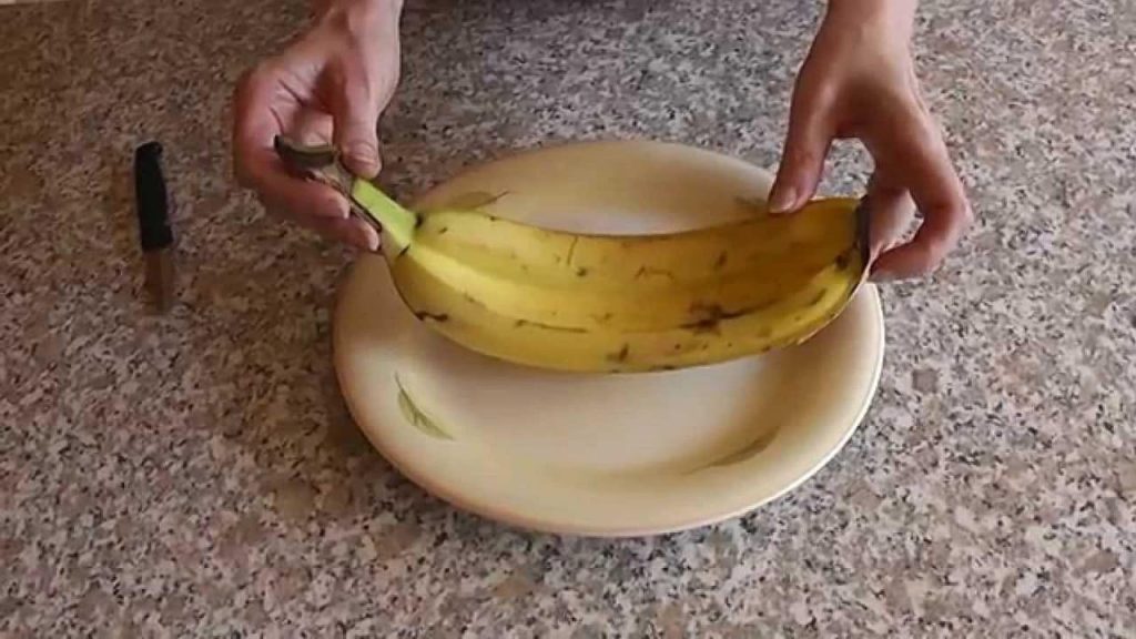 Twin Banana